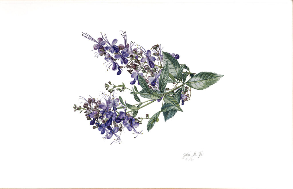 Julie Ah-Fa