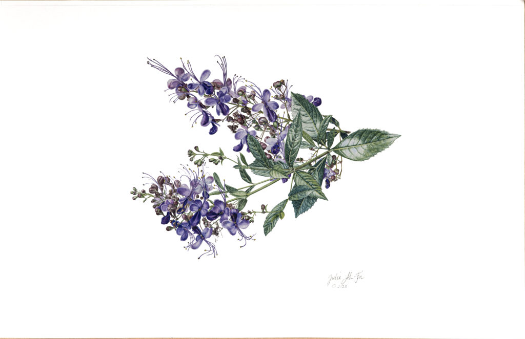 Julie Ah-Fa
